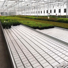 Seedling Bench Used for Agriculture Growing Technology